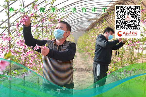 海報丨春來！隴原大地春耕忙