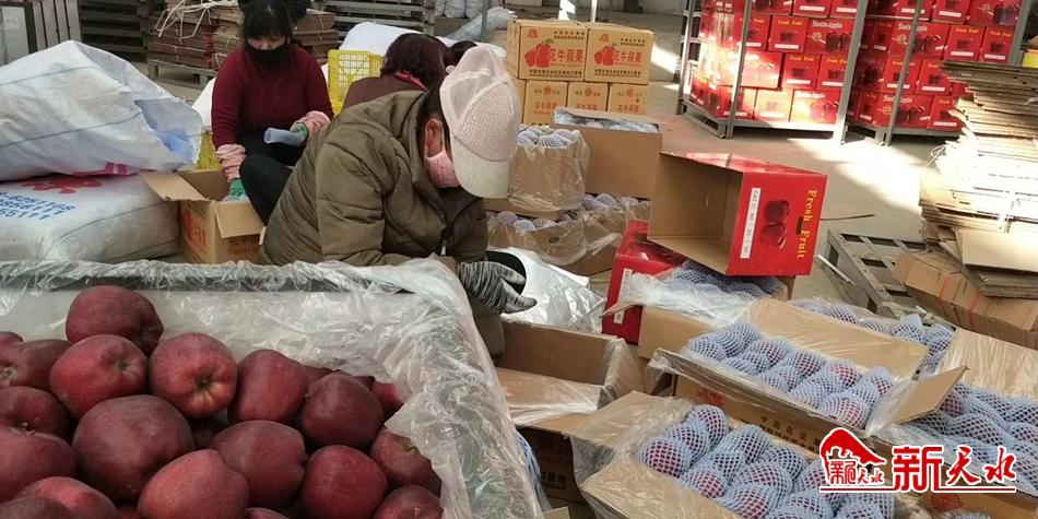 天水“花?！弊罱悬c(diǎn)“?！?>
        </a><em>天水“花?！弊罱悬c(diǎn)“?！?/em></li>
    <li><a  target=