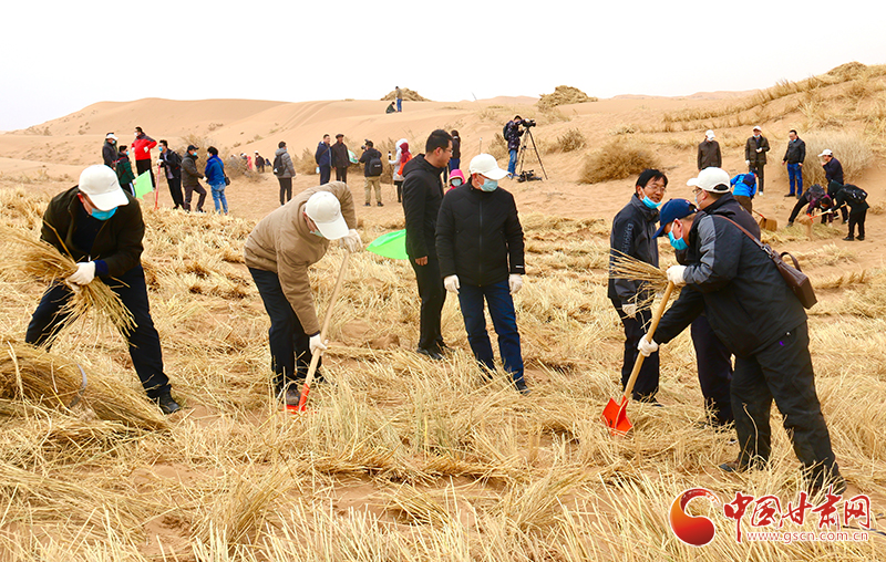 不“疫”樣的植樹節(jié)！甘肅省新聞戰(zhàn)線工作者攜手播綠“八步沙”（圖+視頻）