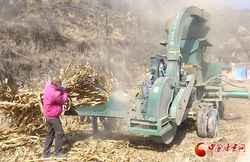 甘肅華池：綠色循環(huán)經(jīng)濟讓玉米秸稈成農(nóng)戶致富增收“寶貝疙瘩”（圖）