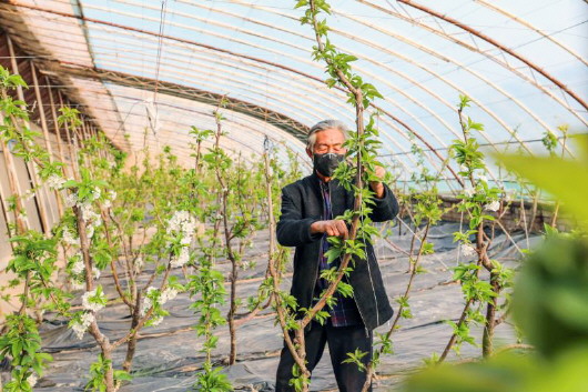 銅城復(fù)蘇：春光明媚，邀你共賞芳華（組圖）