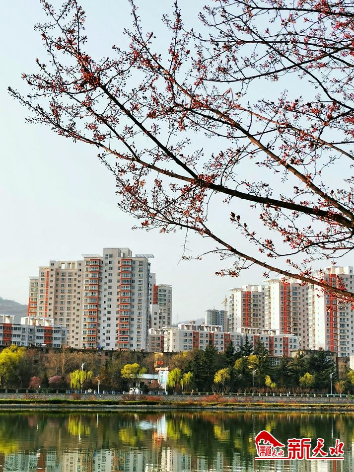 春天，古城天水的十個美麗瞬間