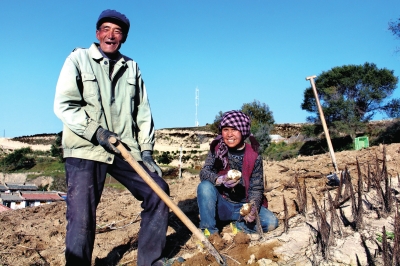 奏響春耕序曲 榆中萬畝百合春采春種抓農資儲備保穩(wěn)產(chǎn)