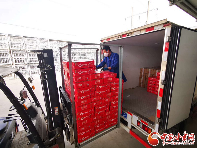 【甘肅省決戰(zhàn)決勝脫貧攻堅】靜寧：“小蘋果”撬動脫貧致富“大產業(yè)”