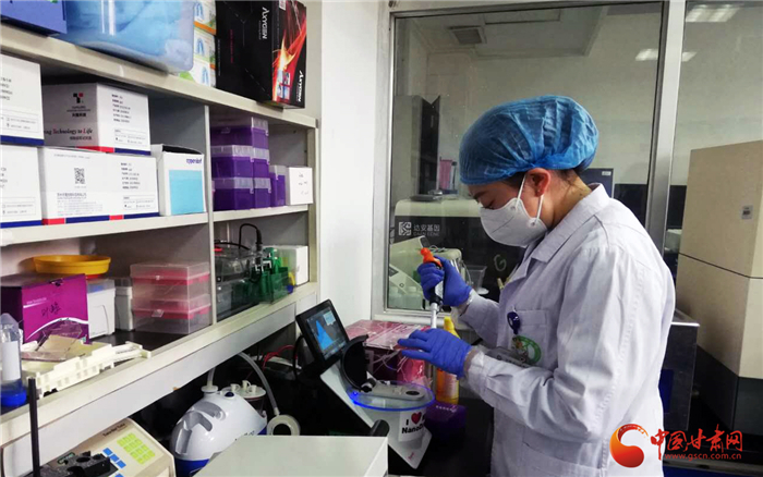 詮釋初心使命 解決重大醫(yī)療問題——甘肅省人民醫(yī)院臨床研究與轉化醫(yī)學研究所抗疫紀實（圖/視頻）