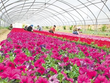 決戰(zhàn)決勝脫貧攻堅主題全媒體集中采訪團(tuán)走進(jìn)蘭州