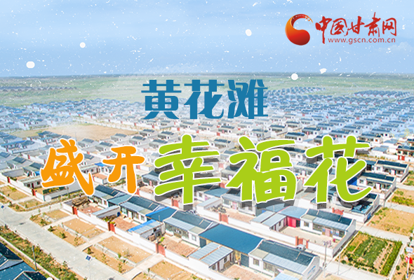 【跟著總書記看甘肅】長圖|武威黃花灘盛開幸?；?