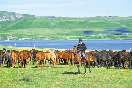 【牢記囑托 砥礪奮進(jìn) 習(xí)近平總書(shū)記視察甘肅一周年】綠水青山終不負(fù)