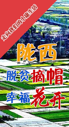 【走向我們的小康生活】長圖|隴西：脫貧摘帽 幸?；ㄩ_