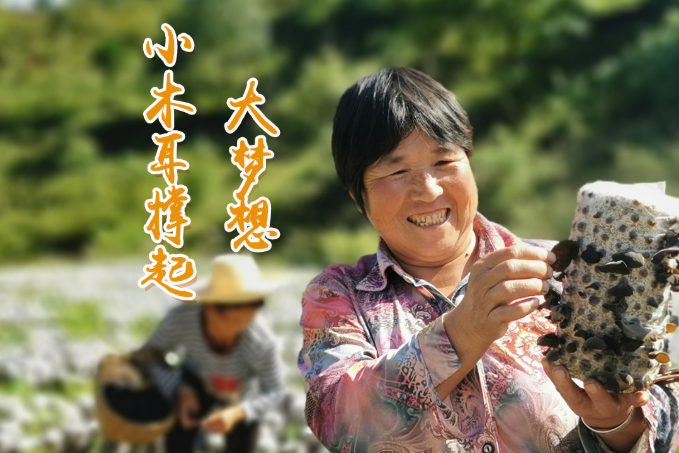 海報丨他們，乘“豐”破浪！