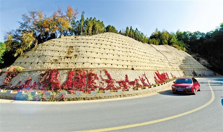 近90度陡坡上種樹(shù)！蘭州南北兩山綠化出新招