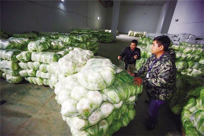 蘭州市已儲備1萬噸冬春蔬菜以耐貯存、易周轉(zhuǎn)品種為主