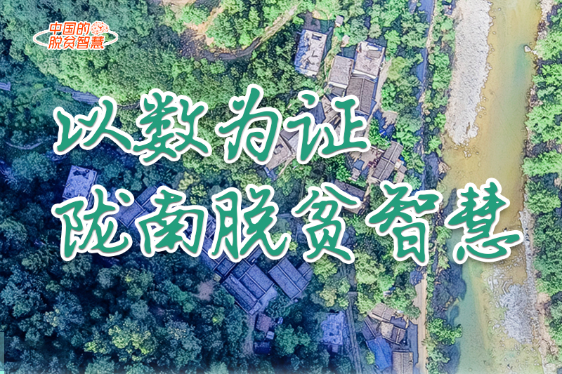 【中國的脫貧智慧】以數(shù)為證！隴南脫貧智慧來了！