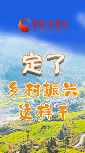 圖解|定了！全面推進(jìn)鄉(xiāng)村振興這樣干！