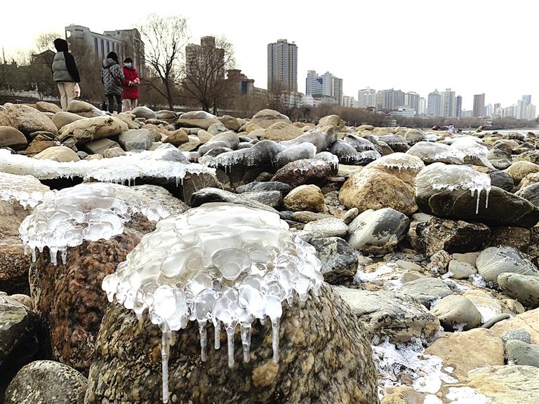 蘭州：水母上河灘？