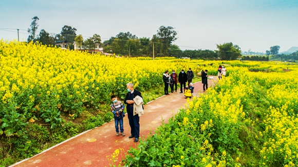 游客在花海里踏青。廖濤 攝