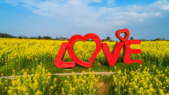 “l(fā)ove”創(chuàng)意拍照墻。廖濤 攝