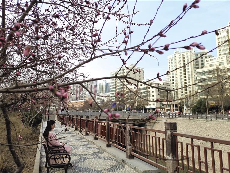 蘭州“第一朵花”開了！