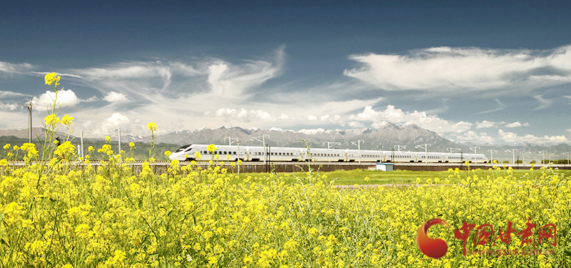 坐上火車“邂逅”春天，你可以這樣享“鐵路游”