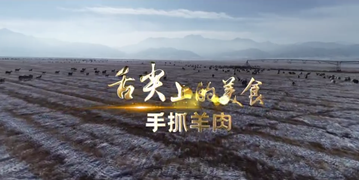 【甘肅省“100系列”獻(xiàn)禮建黨百年】物華天寶潤隴原·舌尖上的美食：手抓羊肉