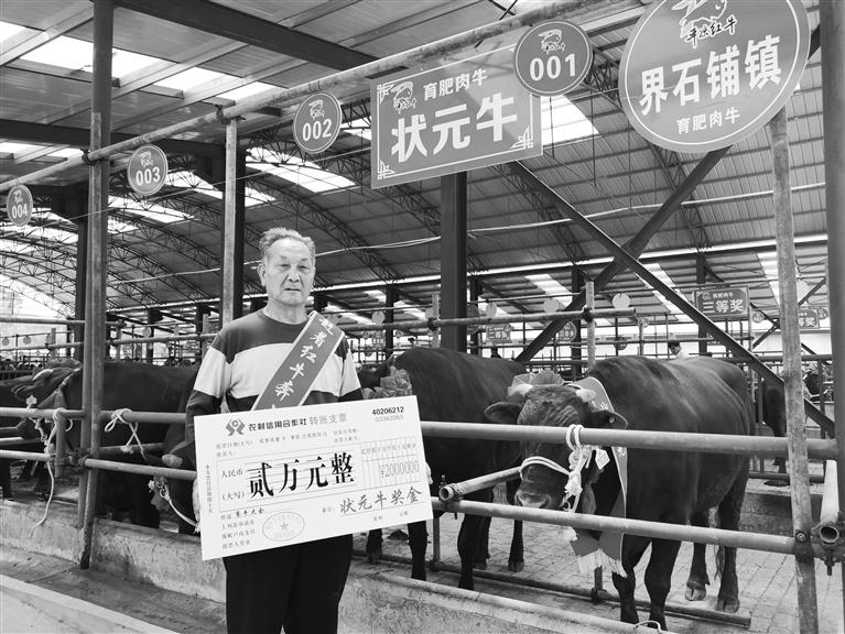 120頭“平?jīng)黾t?！膘o寧爭霸