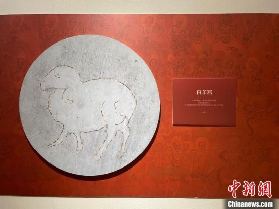 圖為展覽現(xiàn)場。　江楊燁 攝