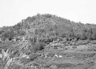 歷史眼丨張果老是正寧人？他與甘肅福緣不淺