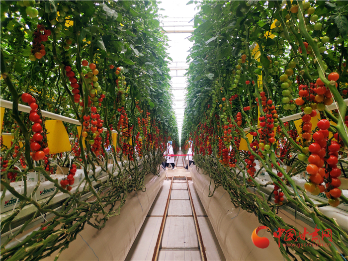 奮進(jìn)路上感謝有你 天津幫扶平?jīng)鳇c(diǎn)滴見(jiàn)真情