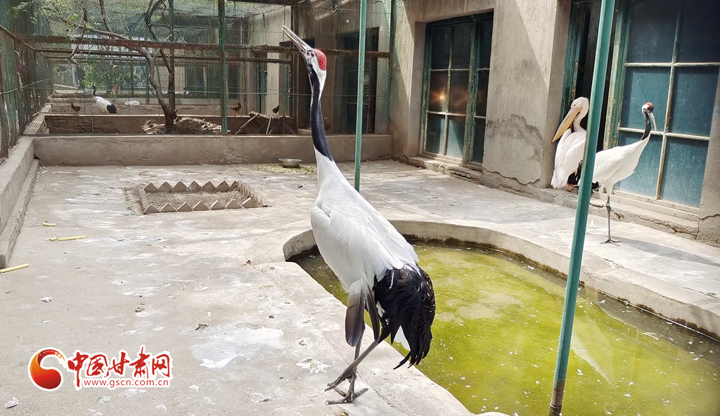 蘭州公安提醒市民：非緊急非必要，不出境