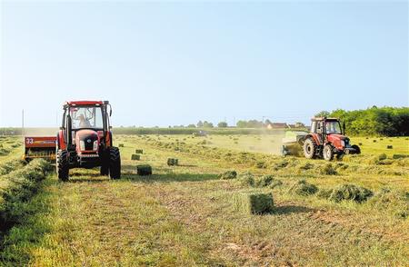 寧縣中泰種養(yǎng)殖農(nóng)民專業(yè)合作社種植的6800畝紫花苜蓿開(kāi)始二茬收割