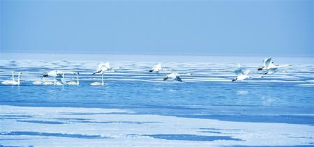 埋頭苦干 勇毅前行 再創(chuàng)高質(zhì)量發(fā)展新輝煌——民勤縣過去五年工作回眸及未來(lái)五年前景展望