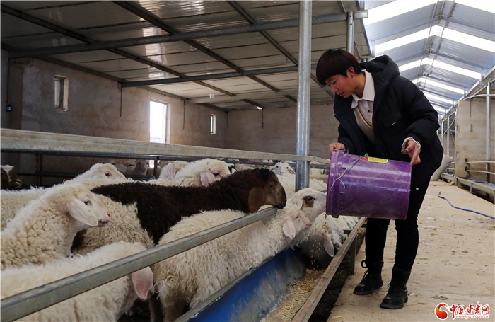 【小康路上看老鄉(xiāng)】蒲萬林：輾轉(zhuǎn)十年回鄉(xiāng) 沐浴政策春風創(chuàng)業(yè)致富