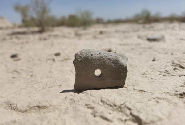 插圖1：河西走廊上遺存的古陶片。攝影：陳曉斌。拍攝日期：2020年6月。