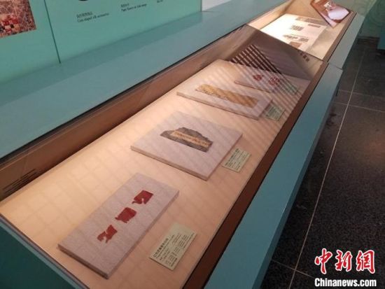 圖為展覽現(xiàn)場?！《鼗脱芯吭汗﹫D