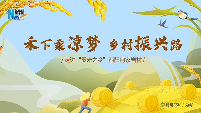 走進(jìn)“貢米之鄉(xiāng)”看禾下乘涼夢(mèng) 鄉(xiāng)村振興路