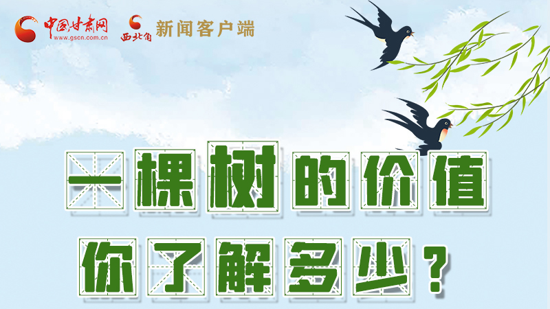 圖解|一棵樹的價(jià)值你了解多少?來看！