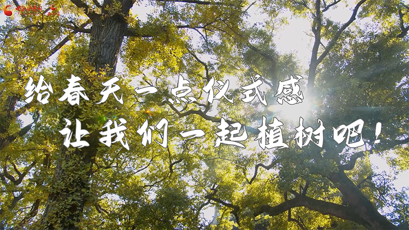 短視頻|給春天一點(diǎn)儀式感，讓我們一起植樹(shù)吧！