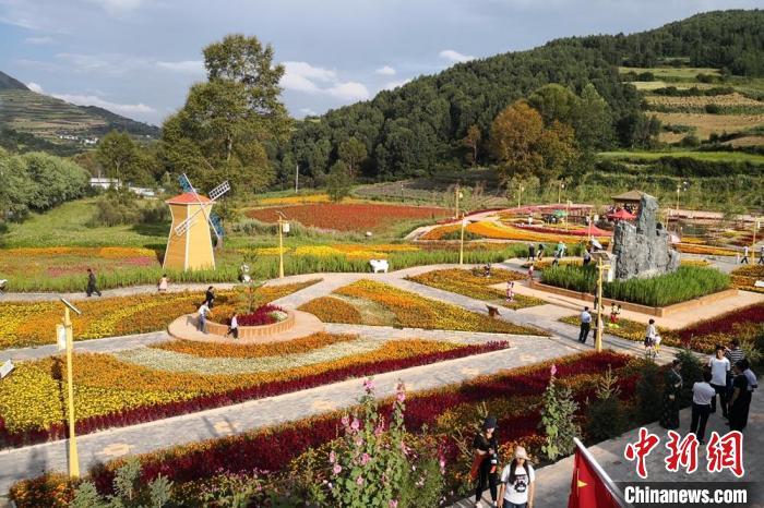 圖為航拍甘肅甘南臨潭縣八角鎮(zhèn)，花海吸引游人。(資料圖)高展 攝
