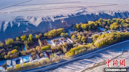 2022年11月，航拍深秋季節(jié)的莫高窟。　　王斌銀 攝