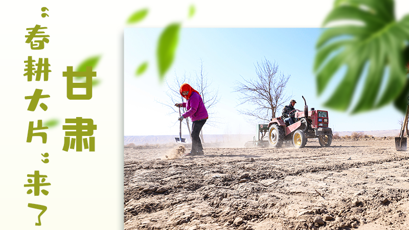 【甘快看】海報(bào)|瞧！甘肅“春耕大片”來了