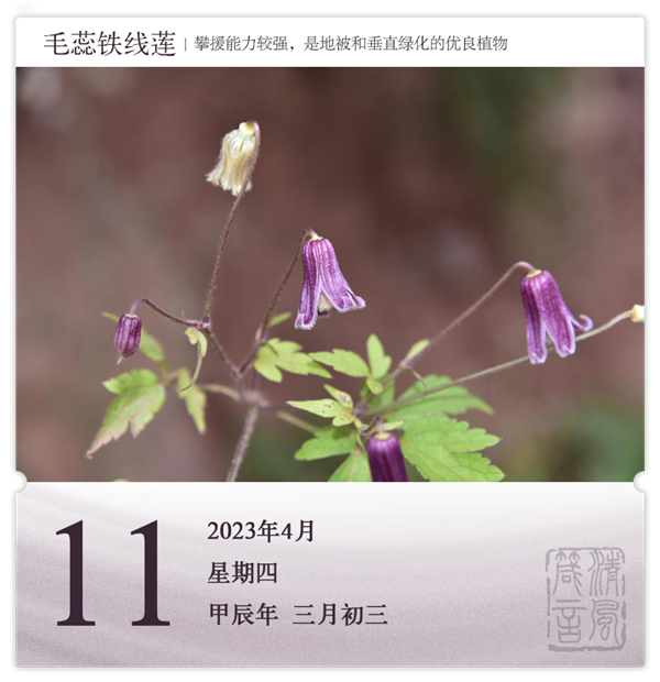 1712647171411010.png 箴歷日歷4-11.png