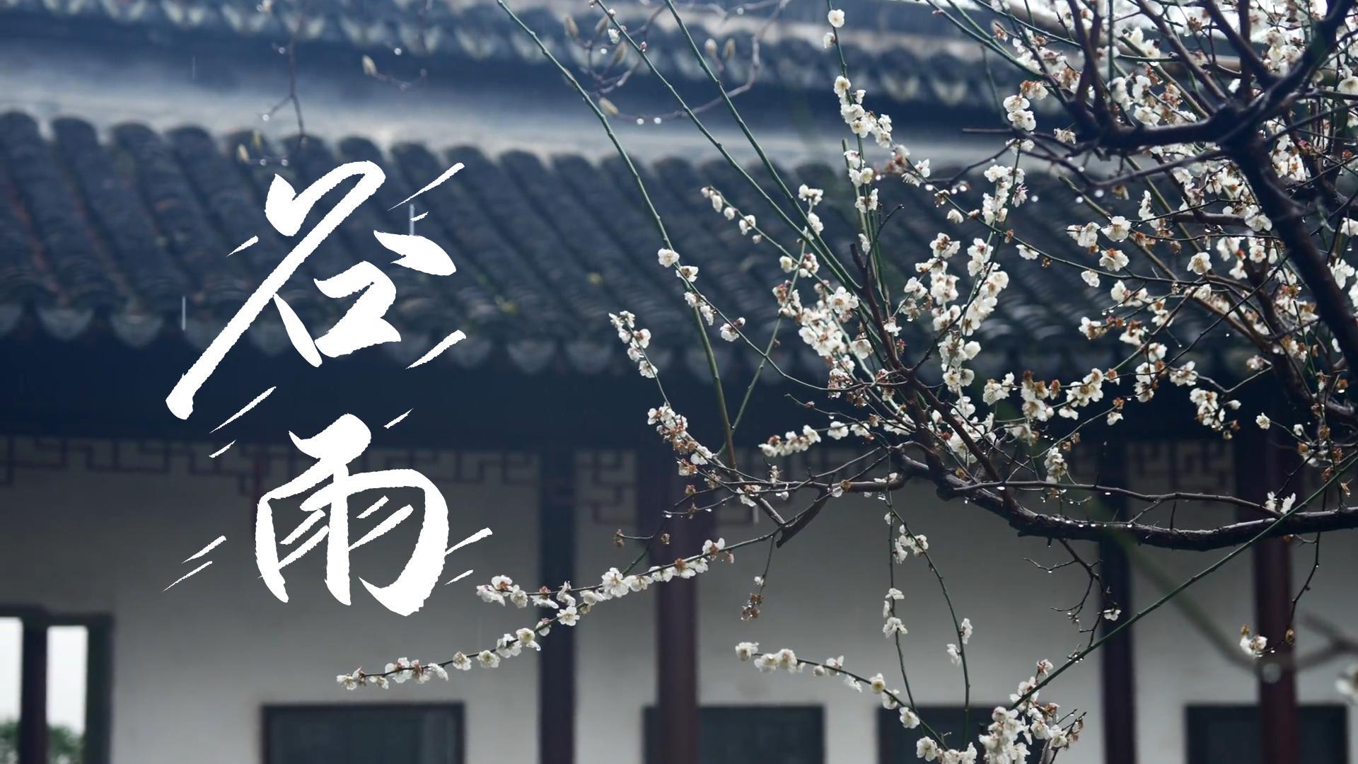 【節(jié)氣里的大美甘肅】谷雨，春天的最后一次回眸