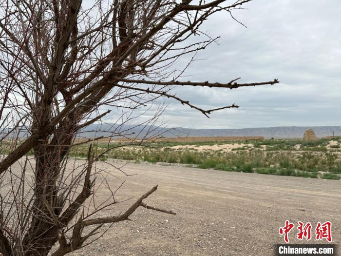 圖為位于長城墻體上的“馬面”或“敵臺”。　戴文昌 攝