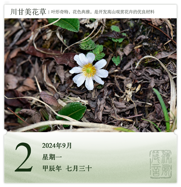 1725008130457165.png 箴歷日歷9-2.png