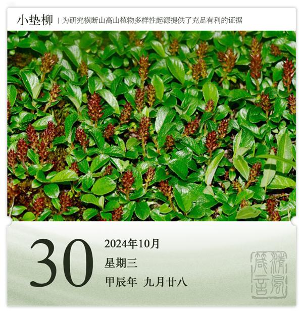 1730103267712208.png 箴歷日歷10-30.png