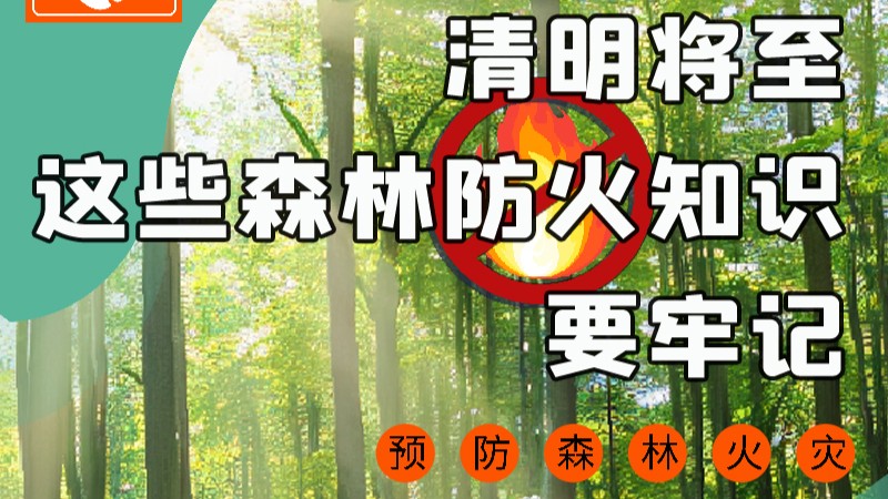 【甘快看】圖解|緊繃“安全弦”！清明，這些森林防火知識(shí)要牢記