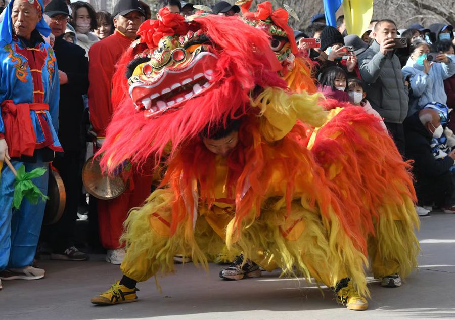蘭州北獅表演現(xiàn)場。受訪者供圖