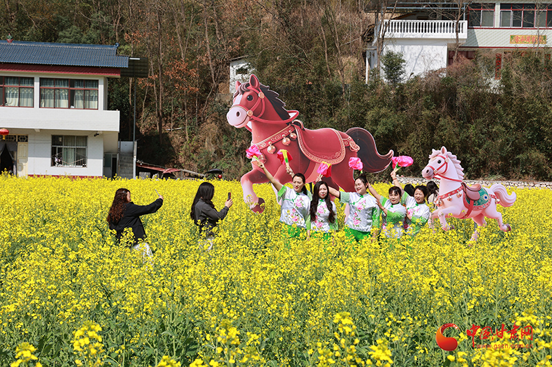 康縣：油菜花開引客來